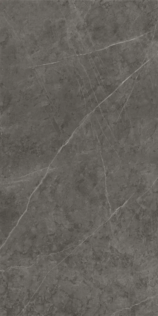 610015000239 На стену Charme Evo Floor Project Антрачит 30x60 Патинированный и Реттифицированный - фото 3