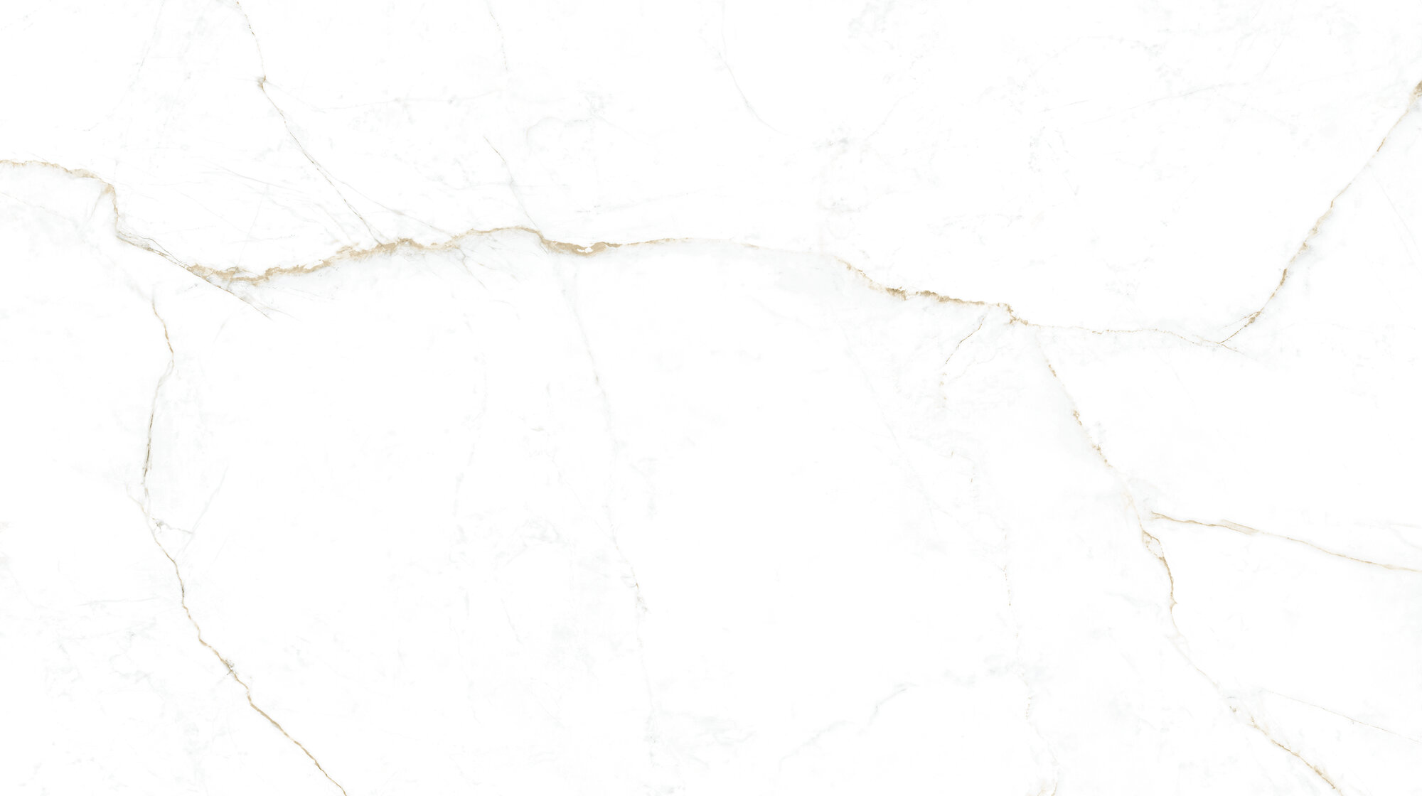 31744 На пол Museum Dual White SP/R 100х180 - фото 8