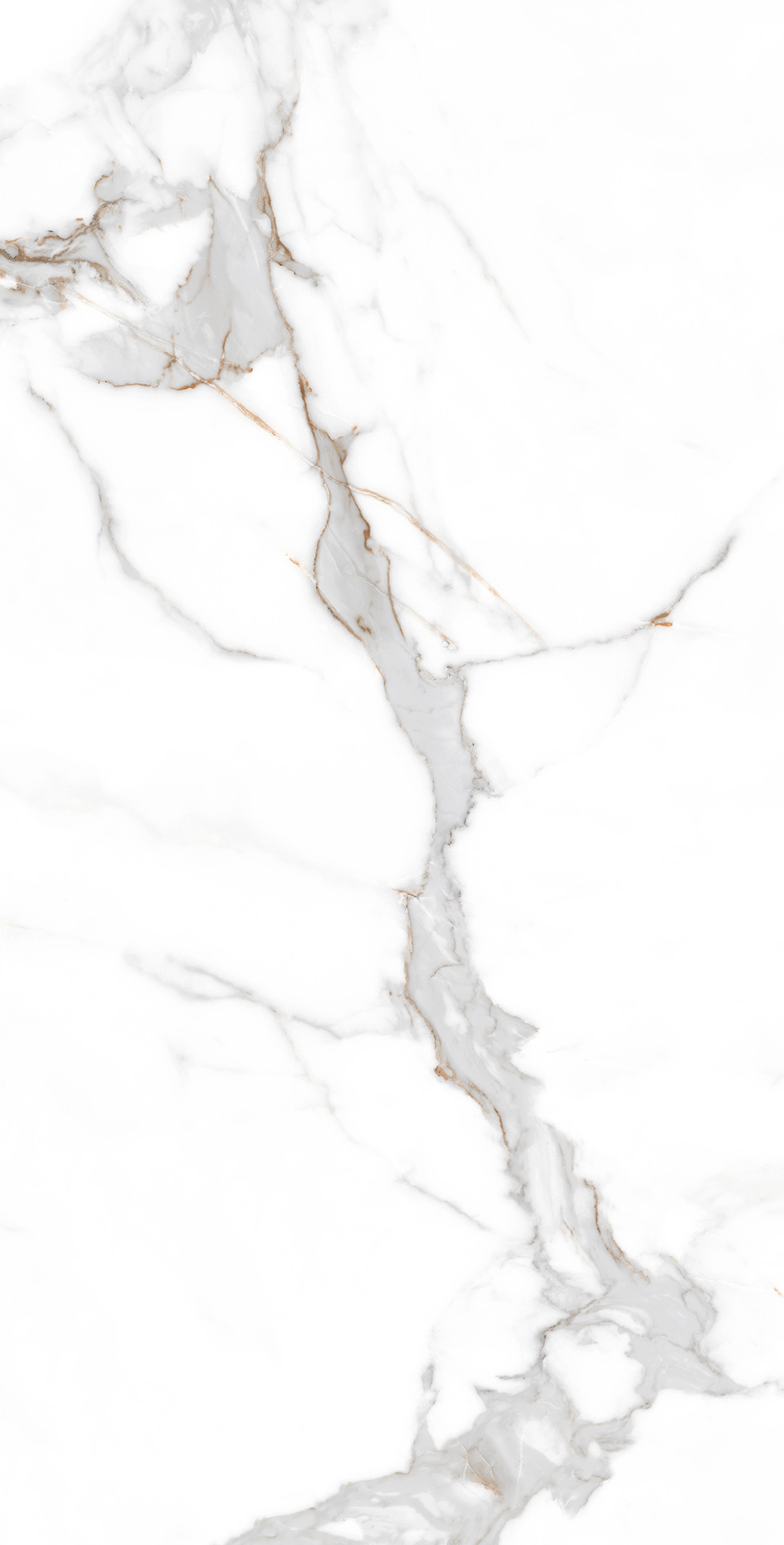 CP4001-A На пол Statuario Seville Carving Pro 60x120 - фото 4