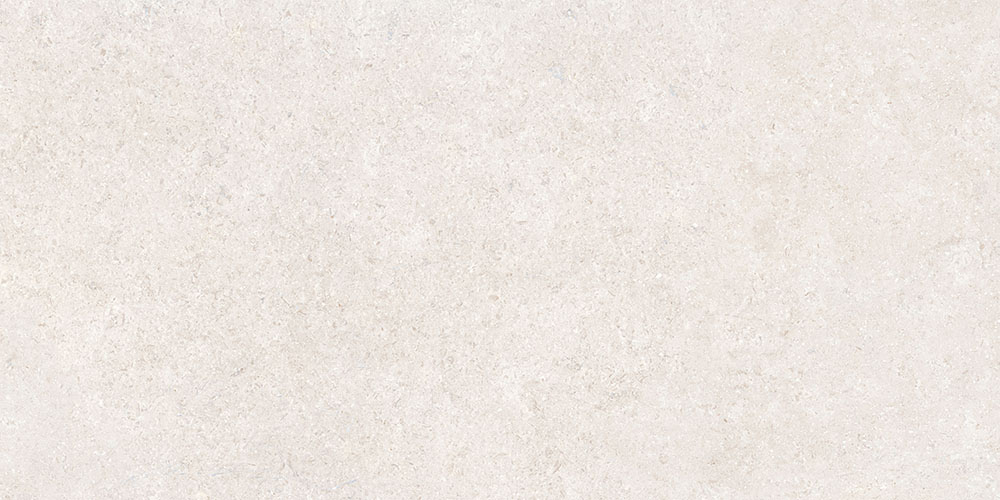 K948597R На пол SandStone Белый Матовый R10A Ректификат 9мм 60х120