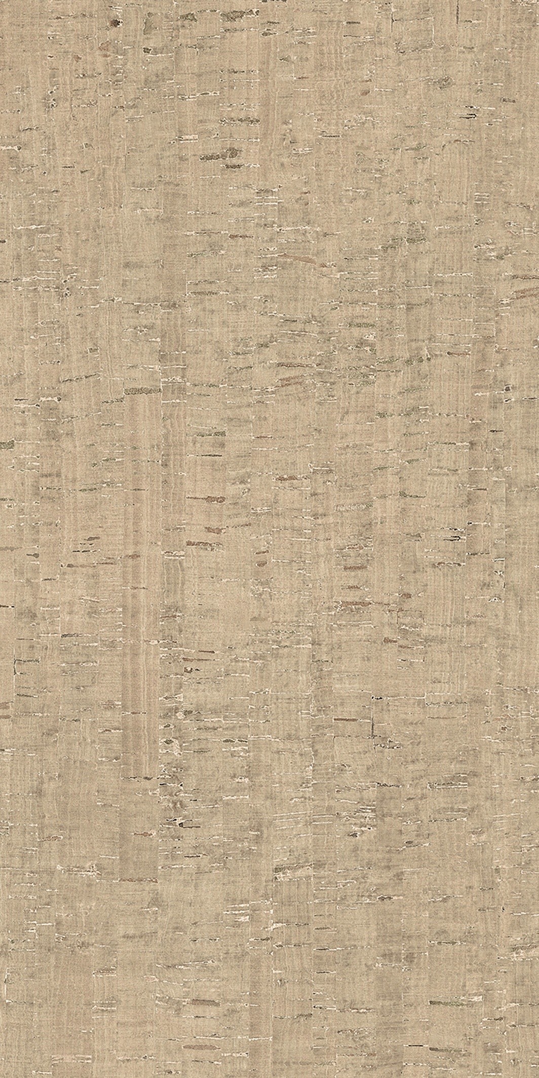 785592 На пол Rinascenza Modulo Conchiglia Matte 6mm 60x120 - фото 4