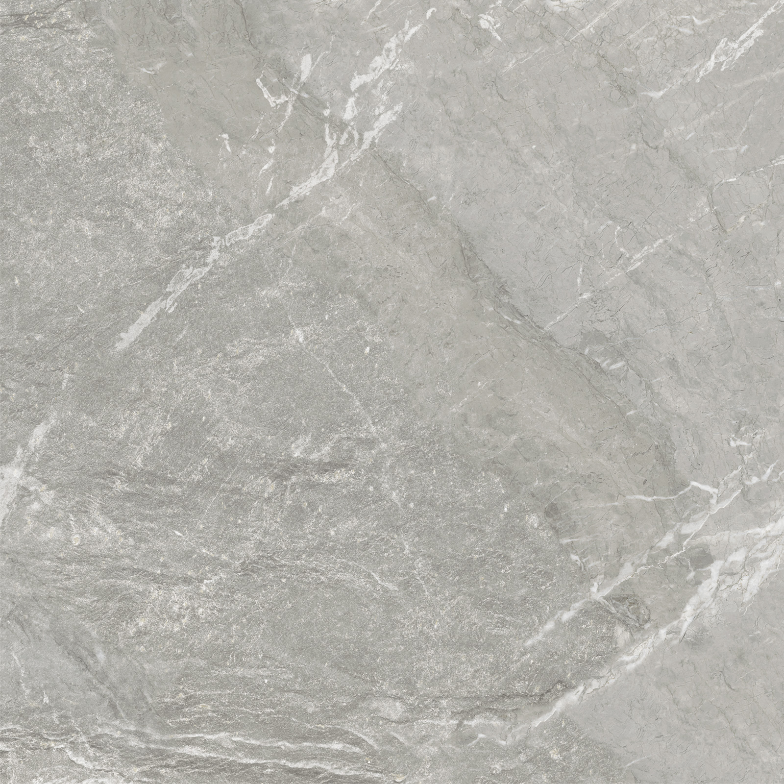 D60259M На пол Wild Light матовый 600x600x9.5 - фото 13