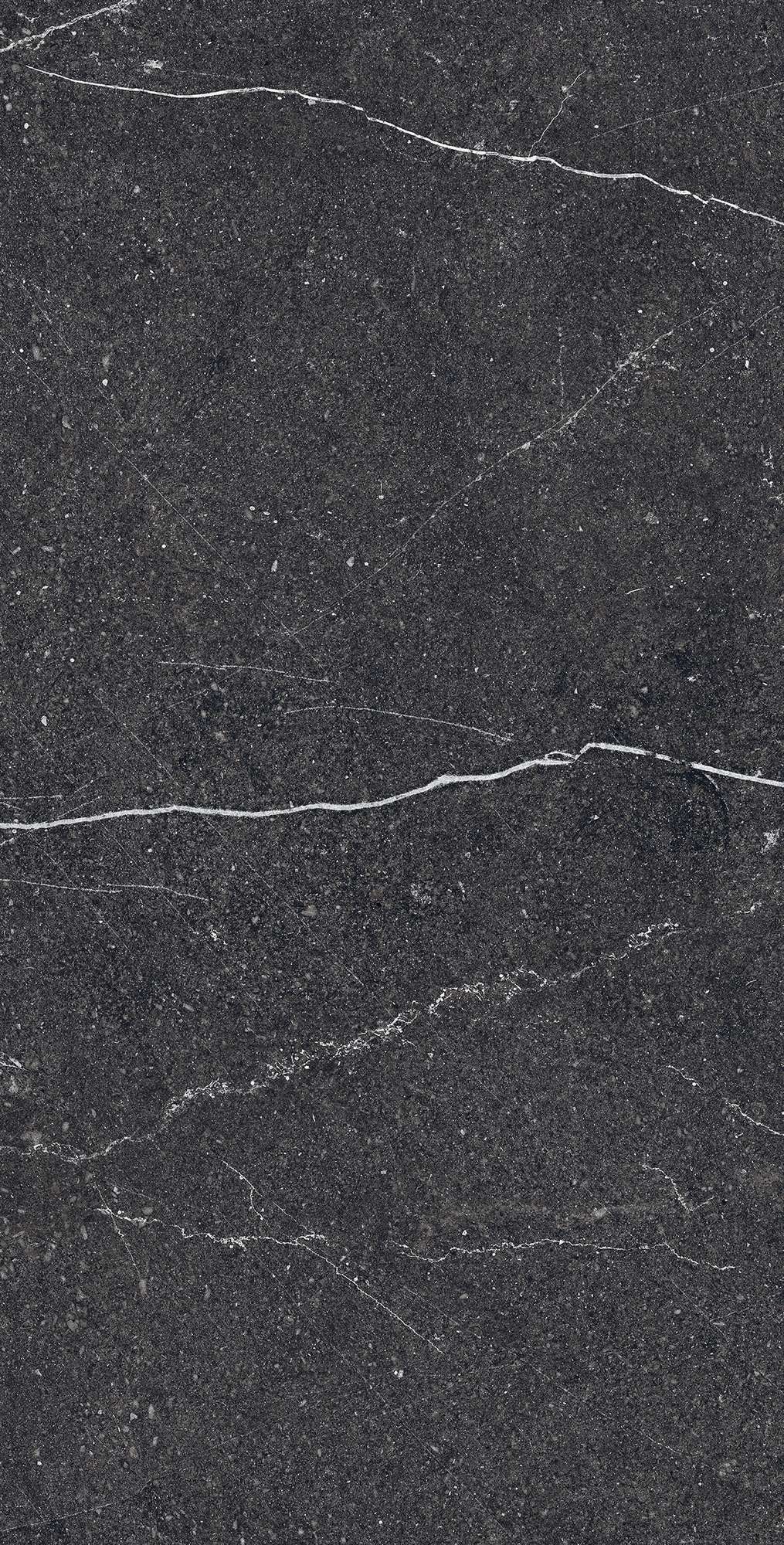 RG6003-A На пол Equistone Charcoal Rotto Glossy Ink 60x120 - фото 5