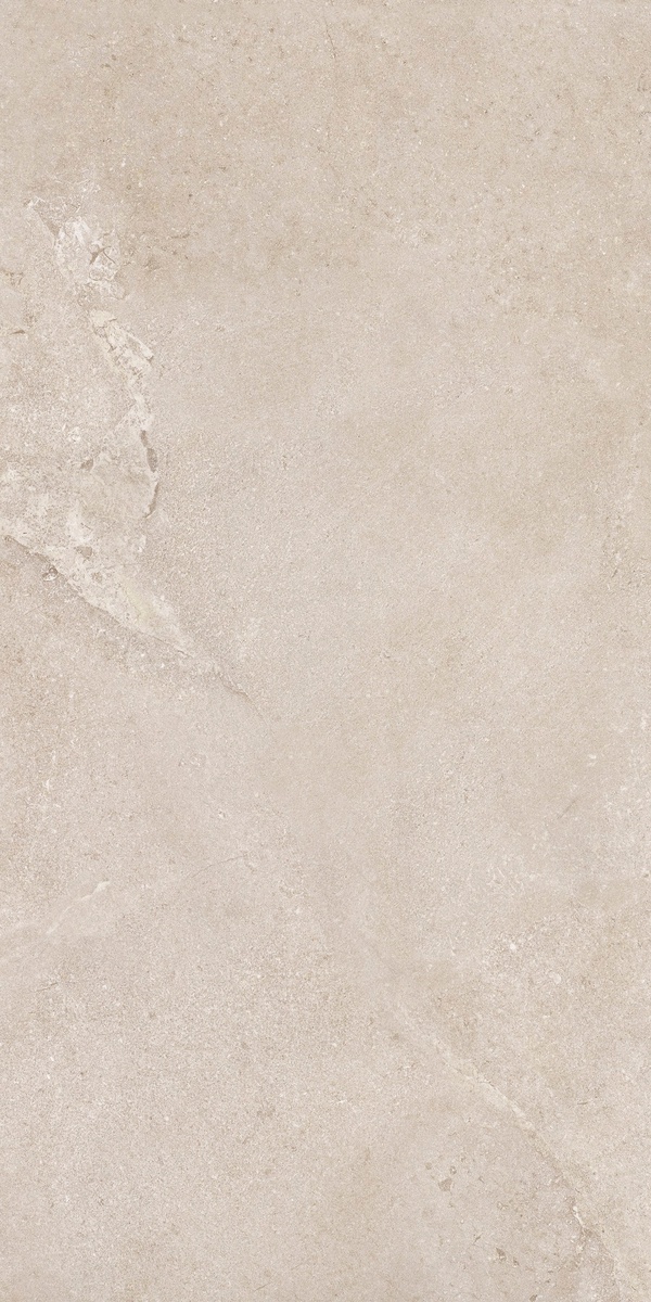 DNWS201 На пол New Stone Daino 60x120 - фото 8