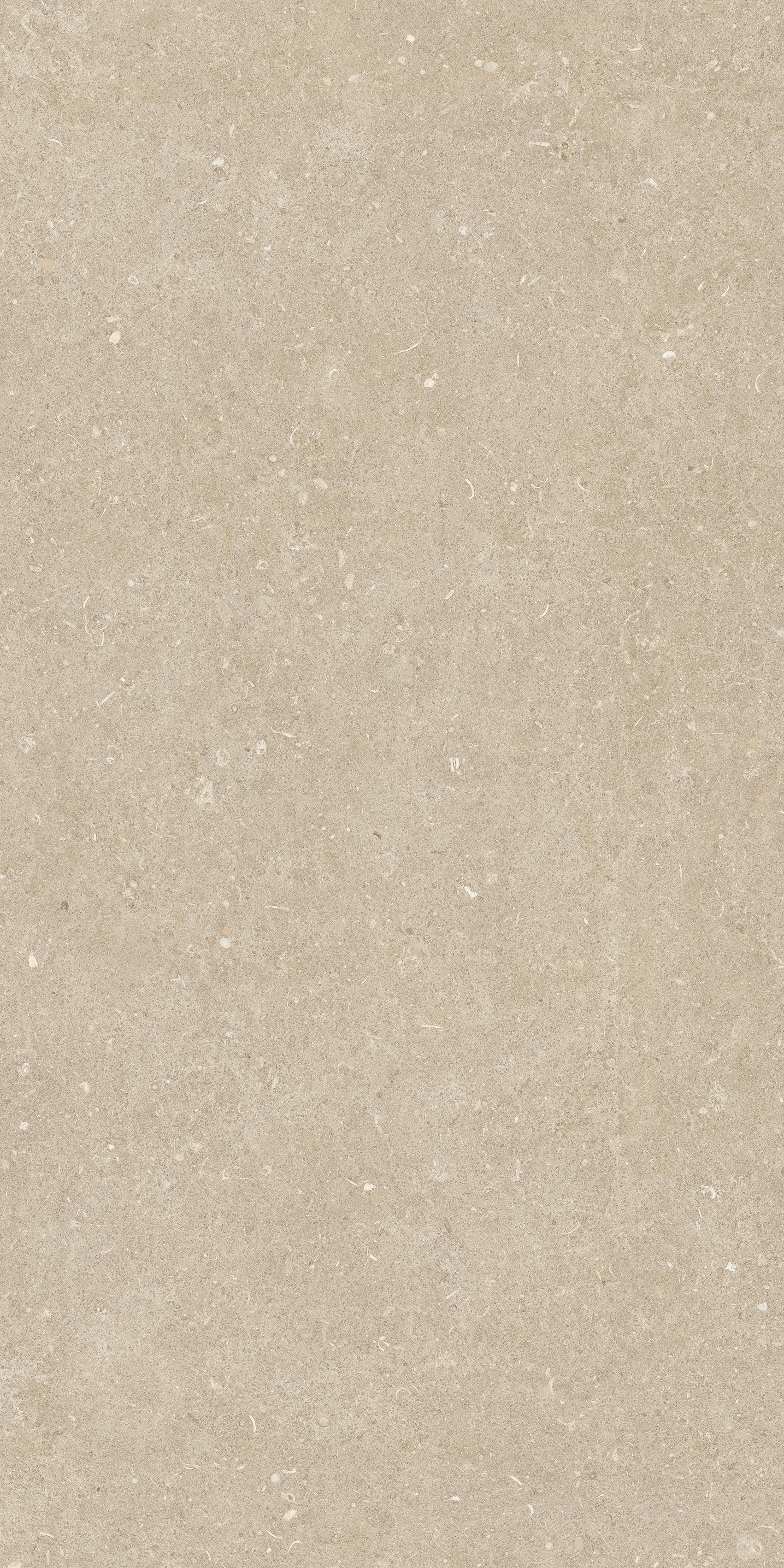 785493 На пол Rinascenza Arena Conchiglia Grip 60x120 - фото 8