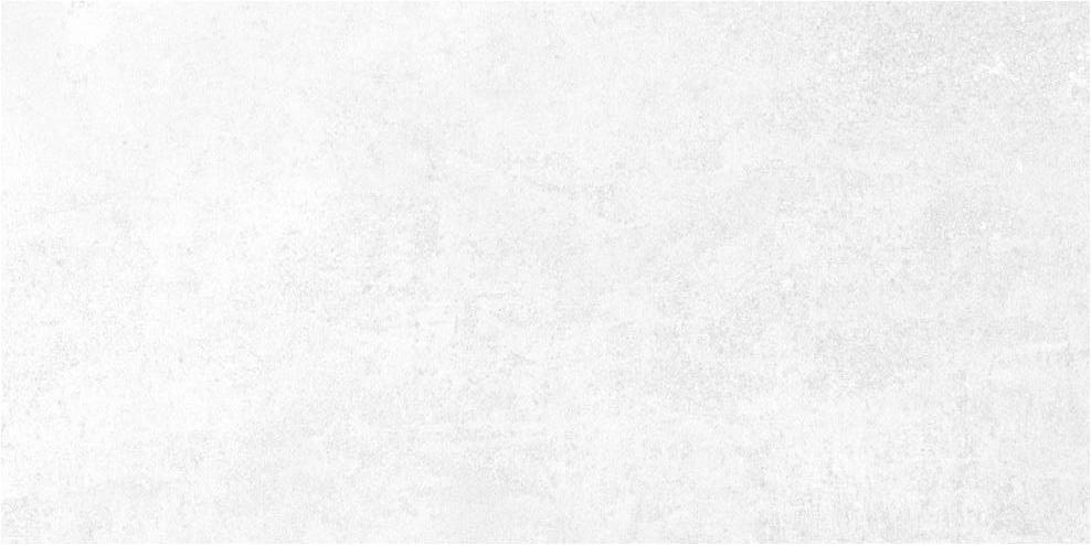 На стену Ларго Светлая 300x600