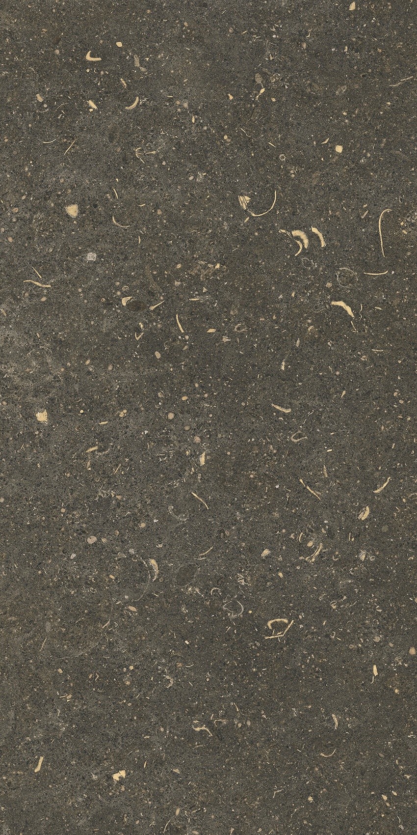 785503 На пол Rinascenza Arena Platino Grip 30x60 - фото 6