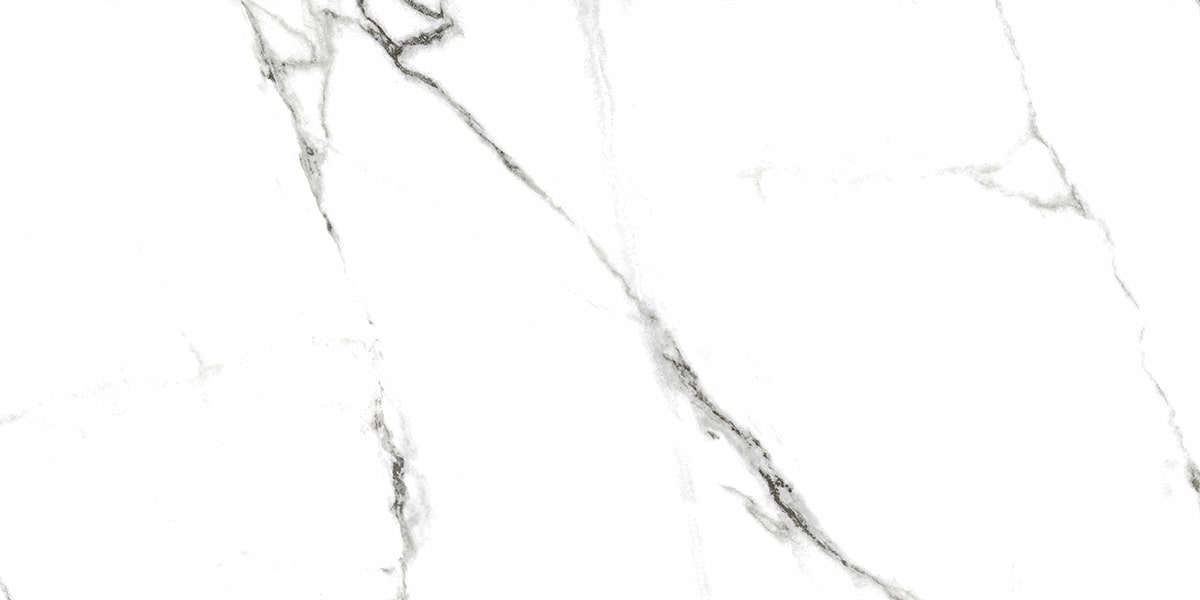 На пол Neiva/Нейва White MR 60x120 - фото 2