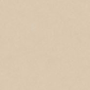 100355029 На пол Terra Clay 120x120