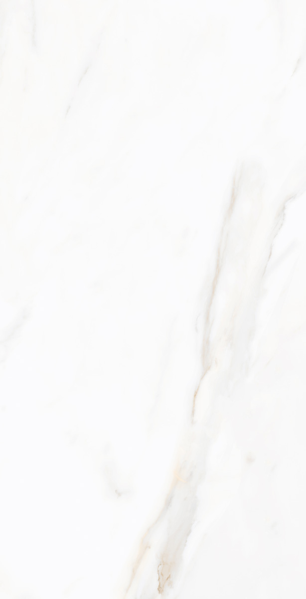 N9608T30 На пол Sharon  Light Polished 60х120 - фото 2