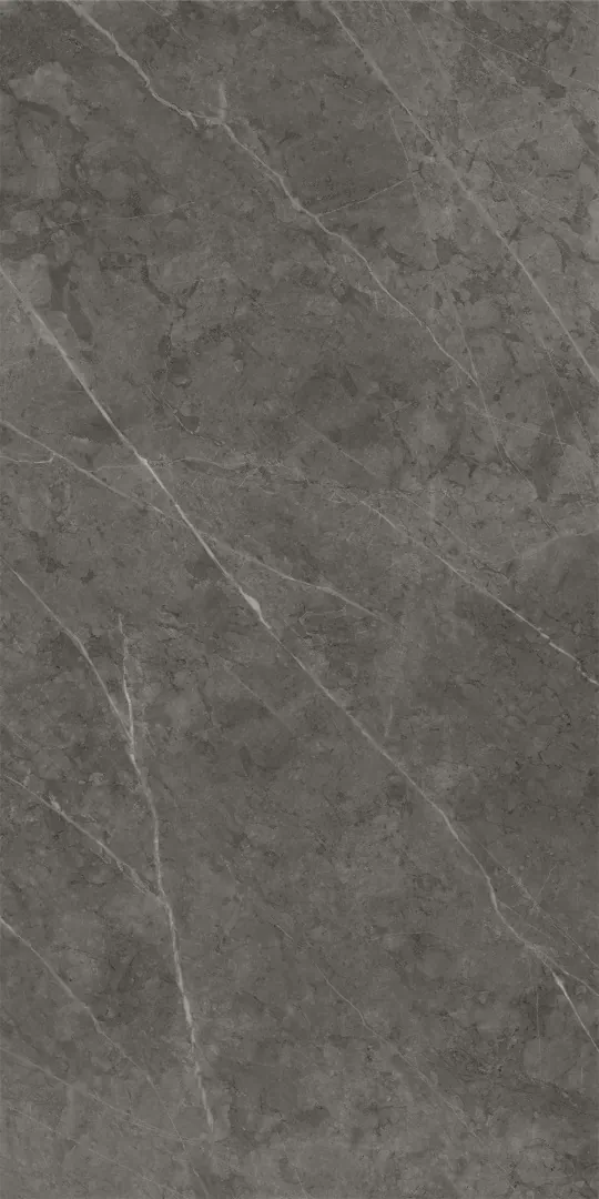 610015000239 На стену Charme Evo Floor Project Антрачит 30x60 Патинированный и Реттифицированный - фото 6