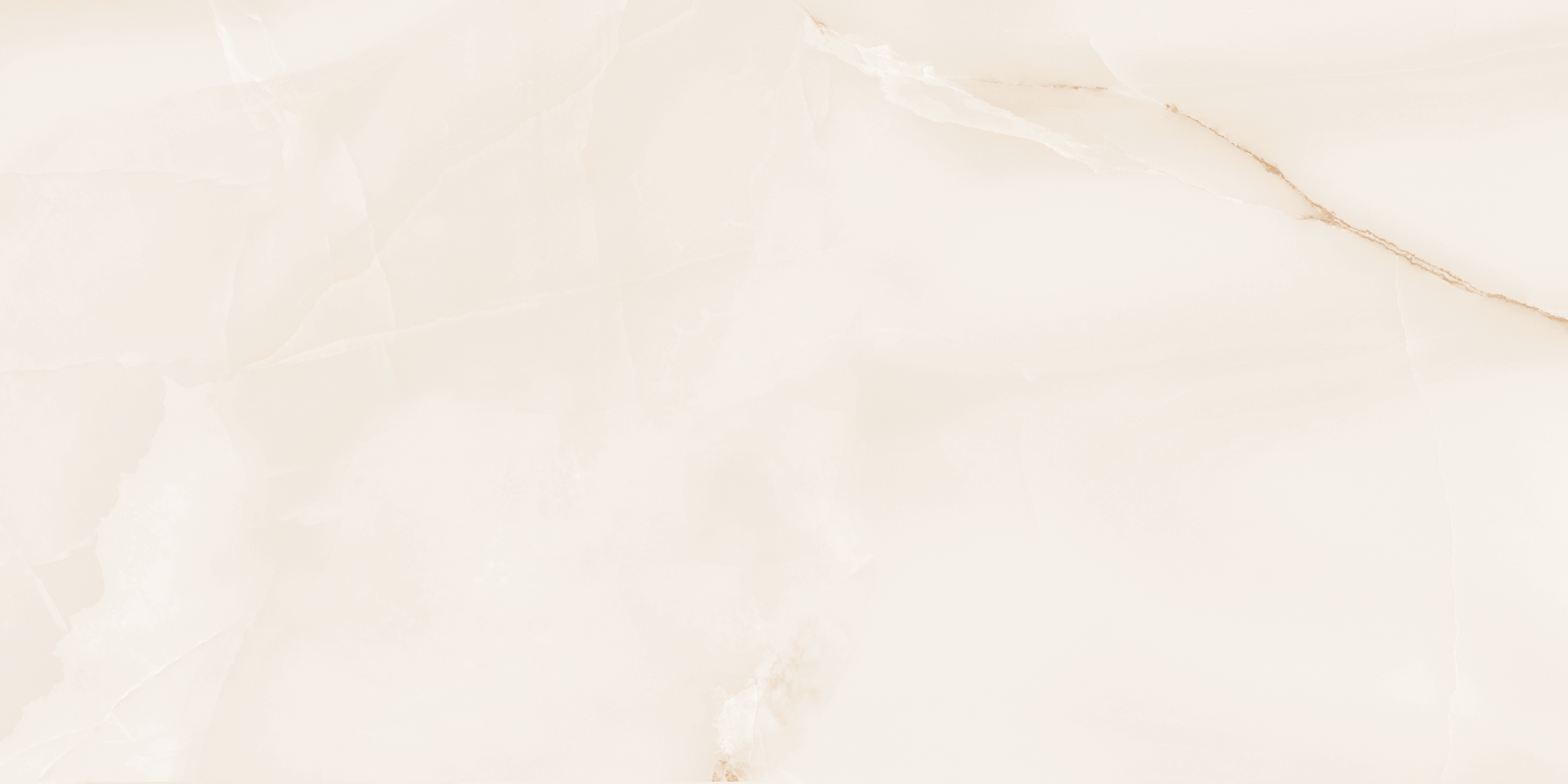 QVL4607M На пол Queen Serenity Onyx Matt 60x120 - фото 11