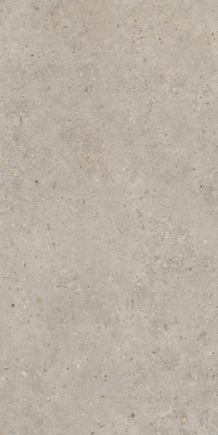 SG540620R На пол Риккарди Бежевый Матовый Обрезной 60x119.5 - фото 4