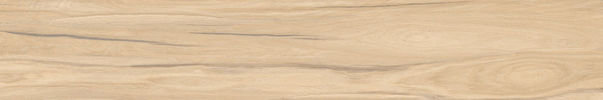 SG517620R На пол Selva Бежевый 19.6x119.1 - фото 8