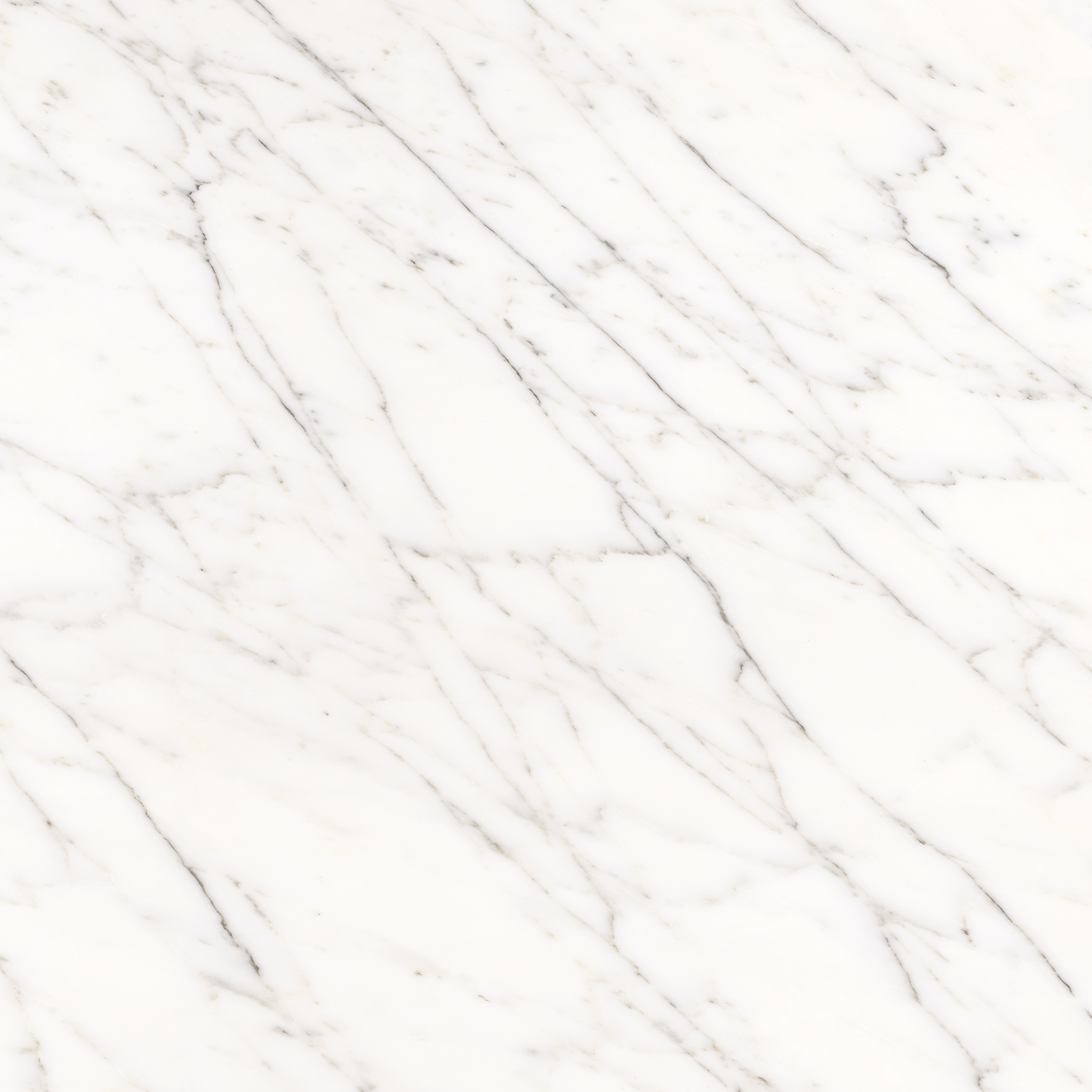 Eternal Luxe White