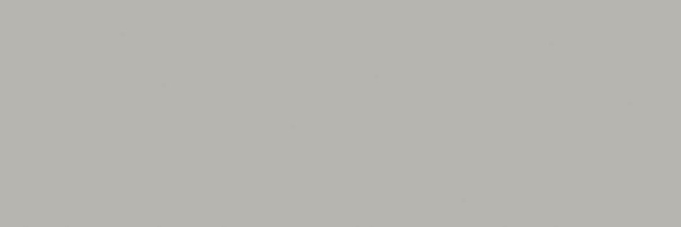 WAAVE110 Настенная Unicolor Grey 20x60