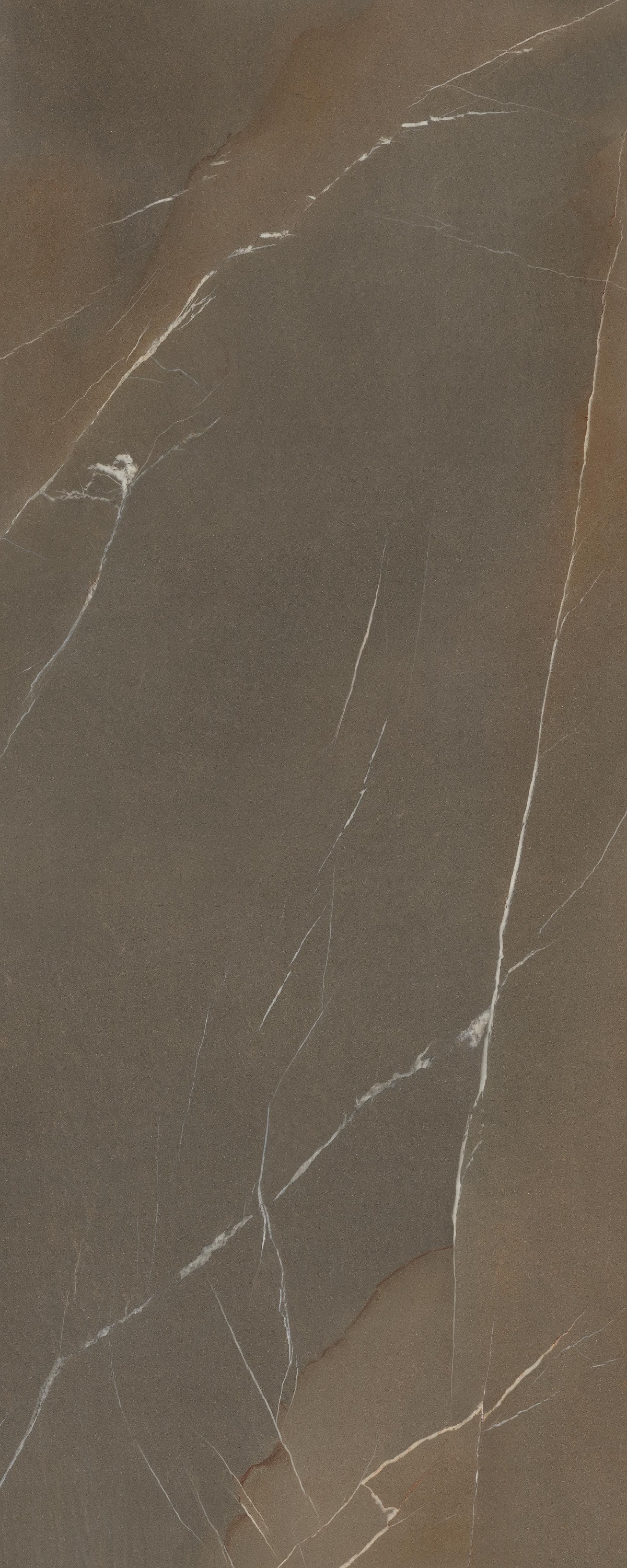 LAMF009439_IT На пол In-Side Pietra Piasentina Taupe 5+ 1200x3000