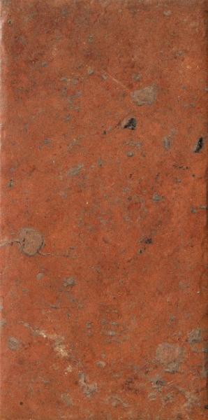 1080486 На пол Cotto Del Campiano Rosso Siena 20x40