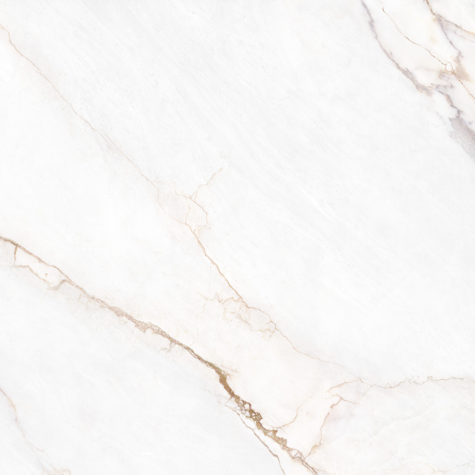 41431 На пол Museum Dahlia White SP/100X100X0.8/R 100x100 - фото 13