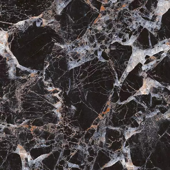 TP66M10 На пол Борзонти Черный