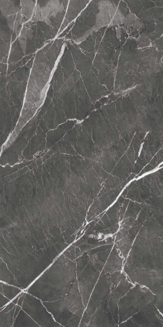 GT1206019809MHRR На пол Oscar Темно-серый матовый 60x120 - фото 6