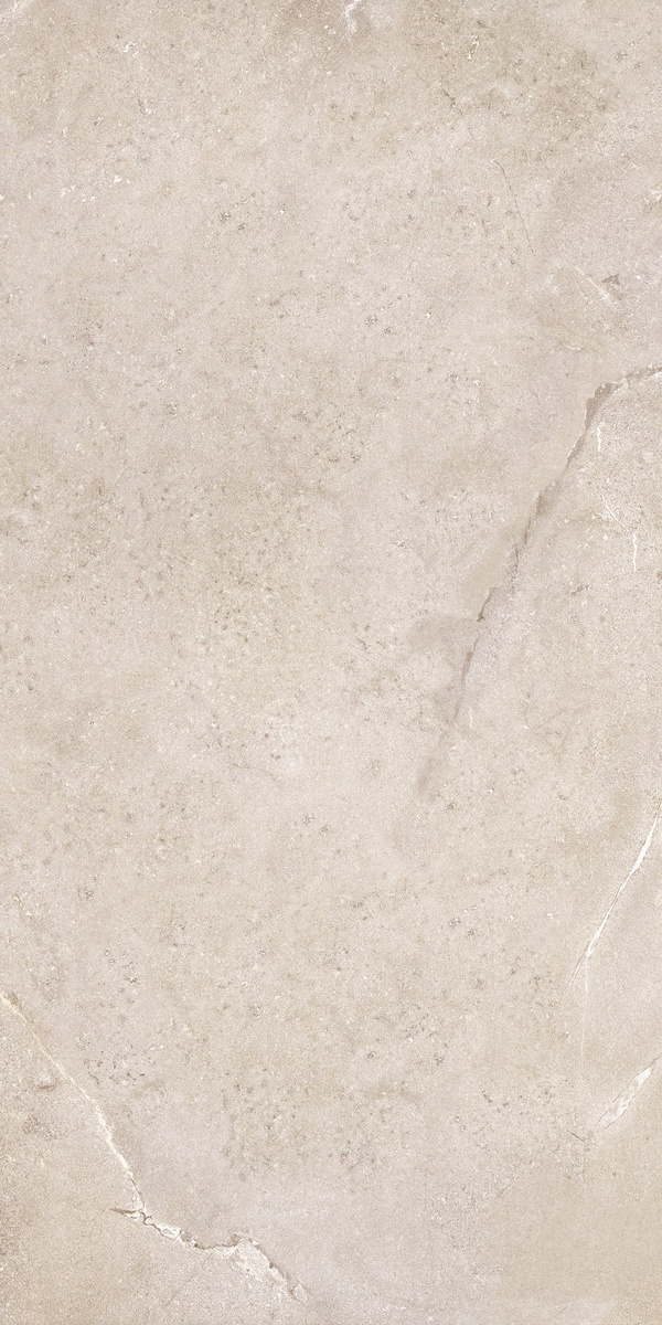 DNWS201 На пол New Stone Daino 60x120 - фото 5