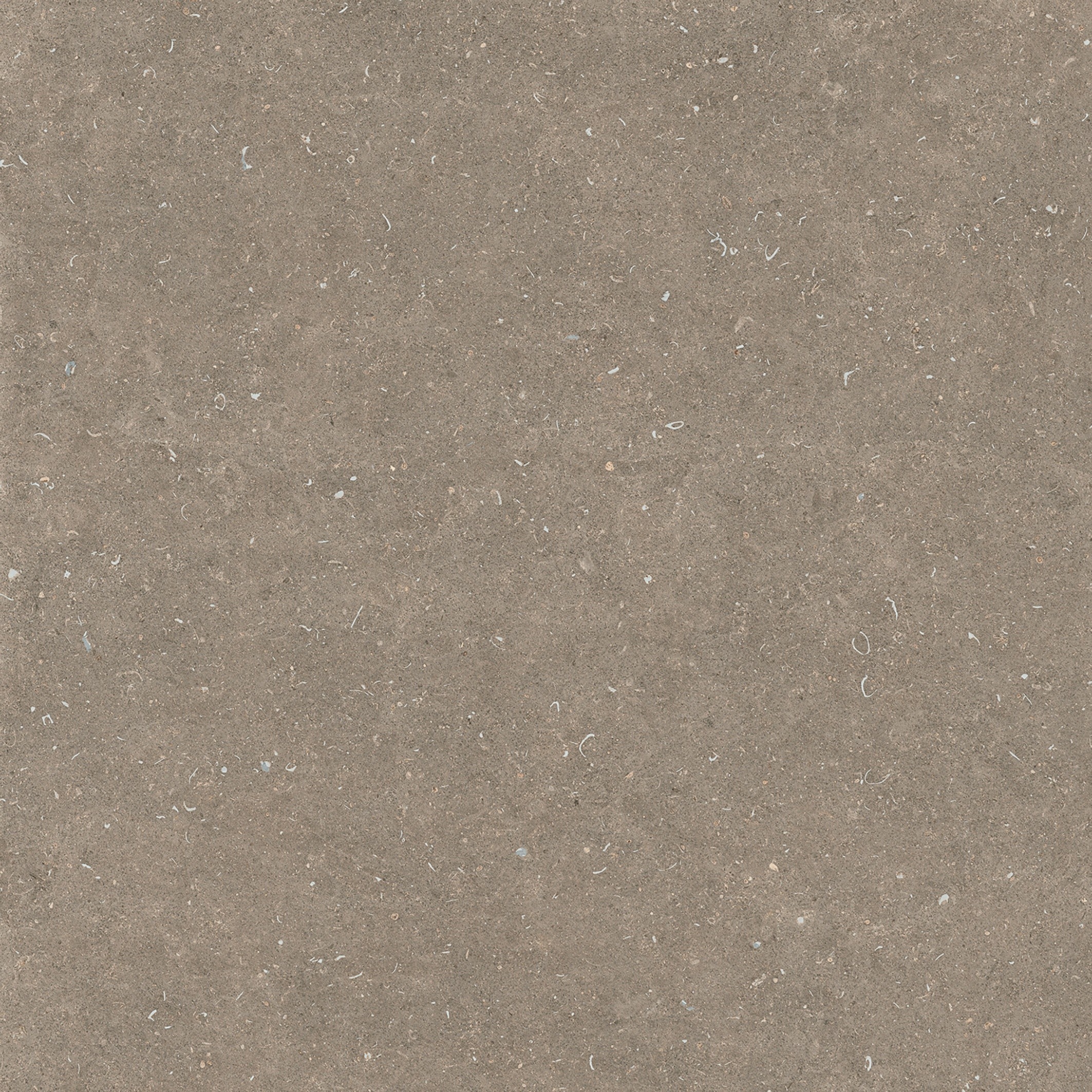 785580 На пол Rinascenza Arena Pietra Matte 6mm 120x120 - фото 2