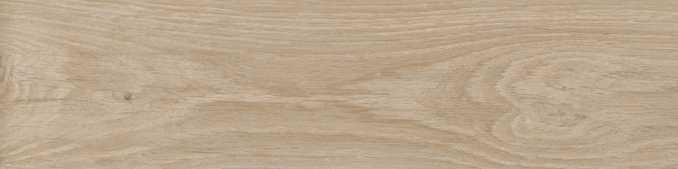 KM1040G0001N На пол Аргания Бежевый светлый матовый 9.9x40.2x0.8 - фото 22