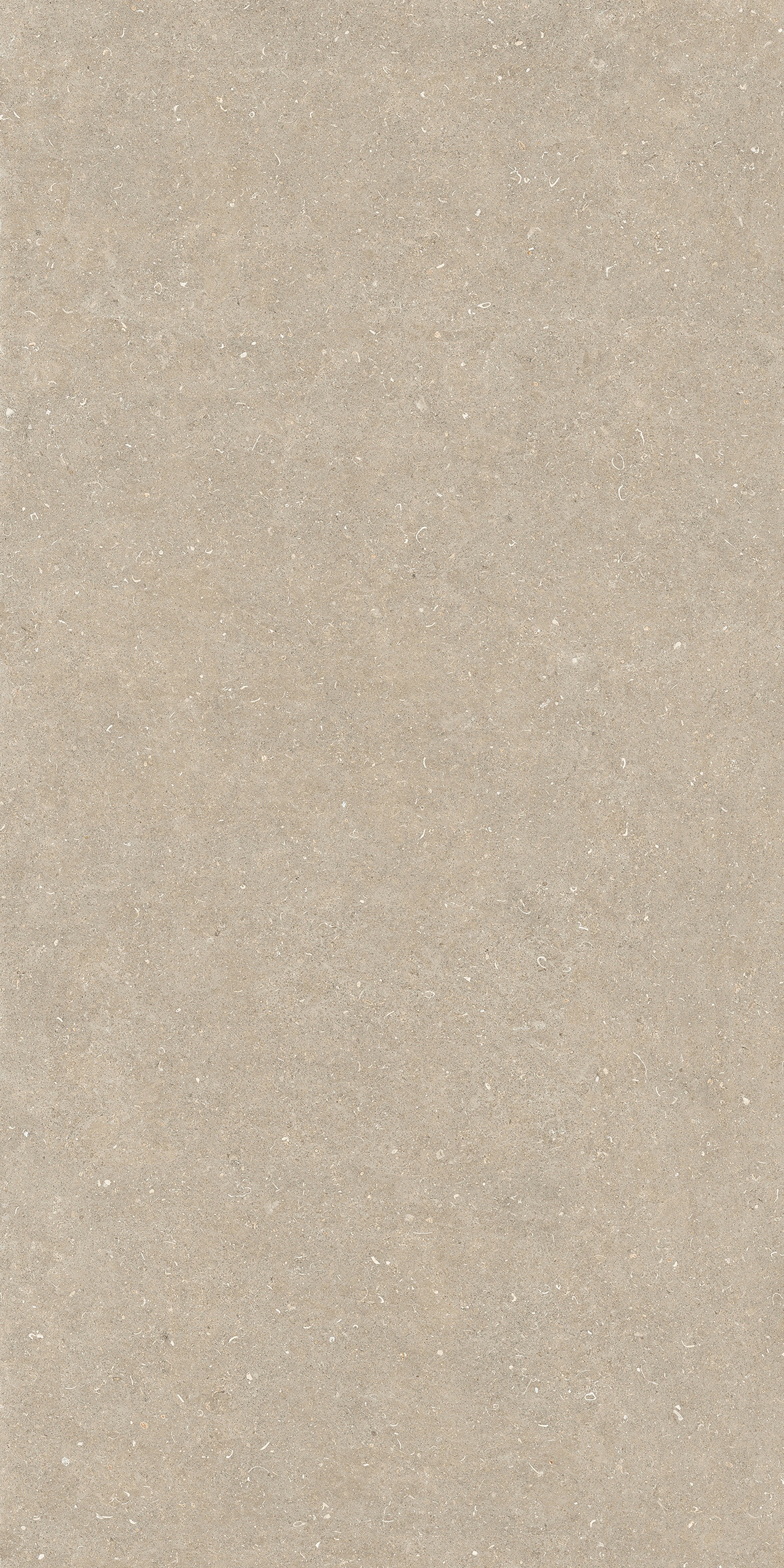 785583 На пол Rinascenza Arena Conchiglia Matte 6mm 120x240 - фото 2