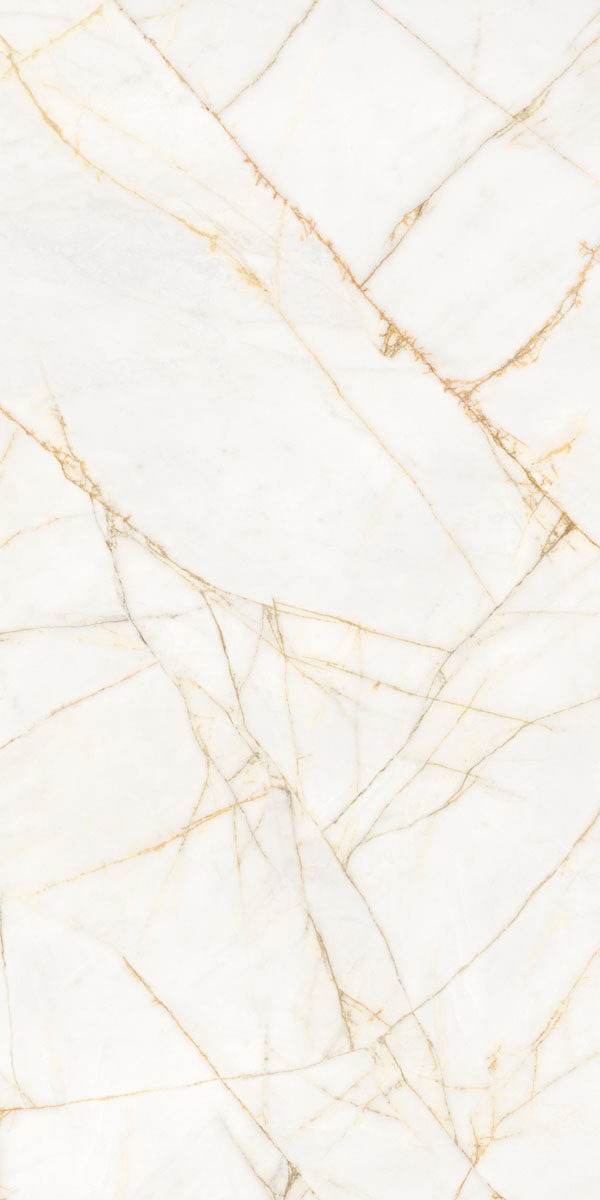 PF60017518 На пол Supreme Hedonism Golden Spider Nat R 60x120