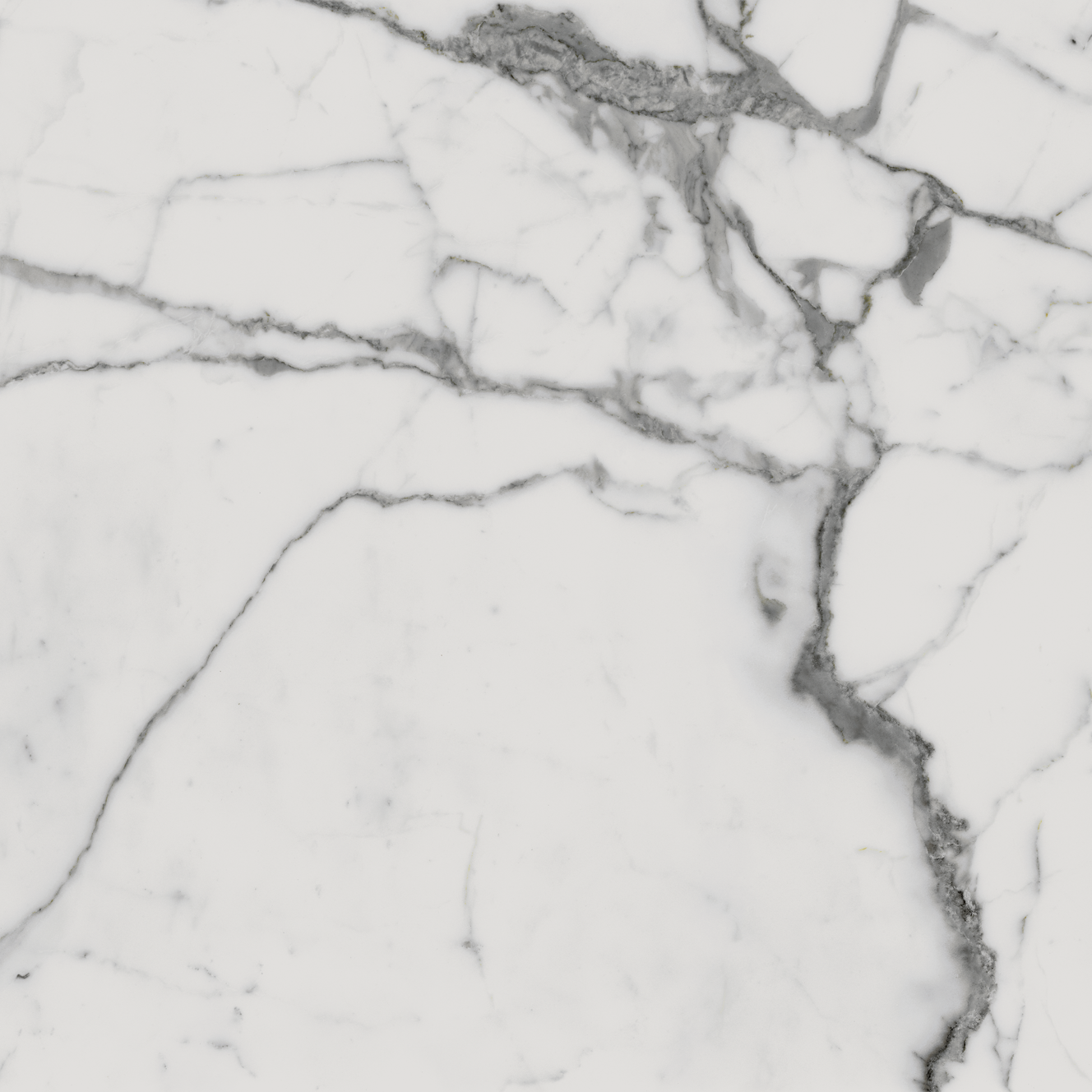 610010001678 На пол Charme Evo Floor Project Статуарио 80 Натуральный и Реттифицированный - фото 5
