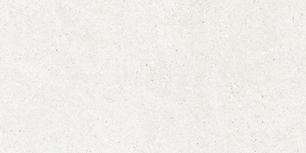 CR6012G0481R На пол Perla Bianco светло-серый матовый 59.5х119.1