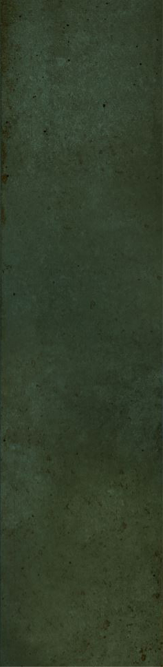 12-00-4-29-04-85-2563 На стену Magic Green 5.85x24 - фото 2