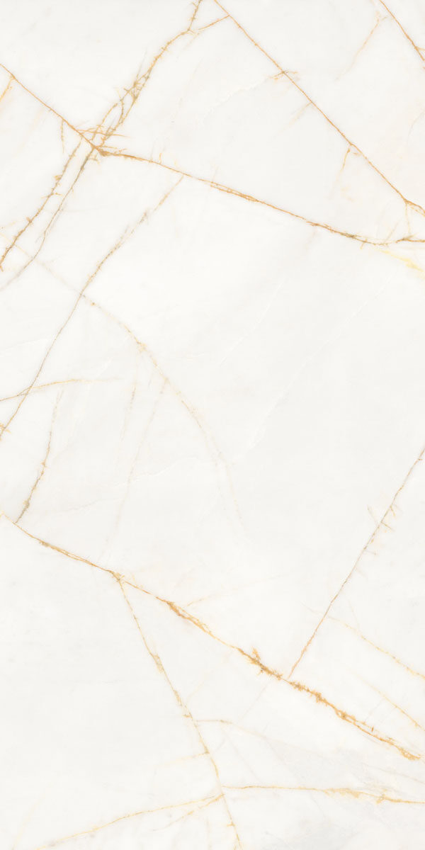 PF60017518 На пол Supreme Hedonism Golden Spider Nat R 60x120 - фото 5