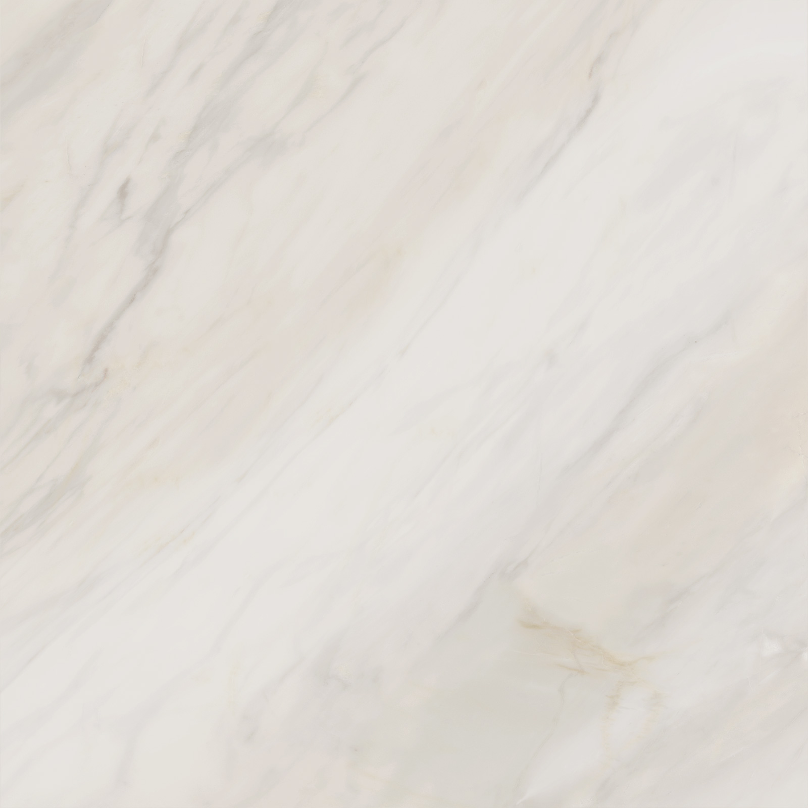 6060CAA01M На пол Carolina Crema матовый 600x600x9.5 - фото 12