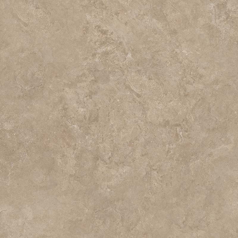 8167 На пол Shell BG 60х60 - фото 5