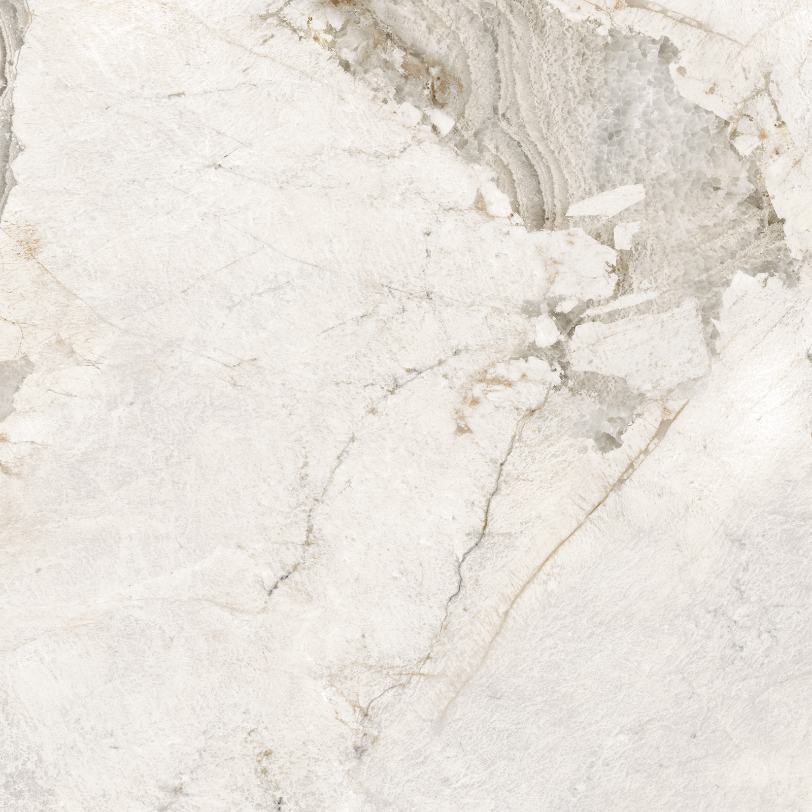 D60256М На пол Seashell Матовый 600x600x9.5 - фото 7