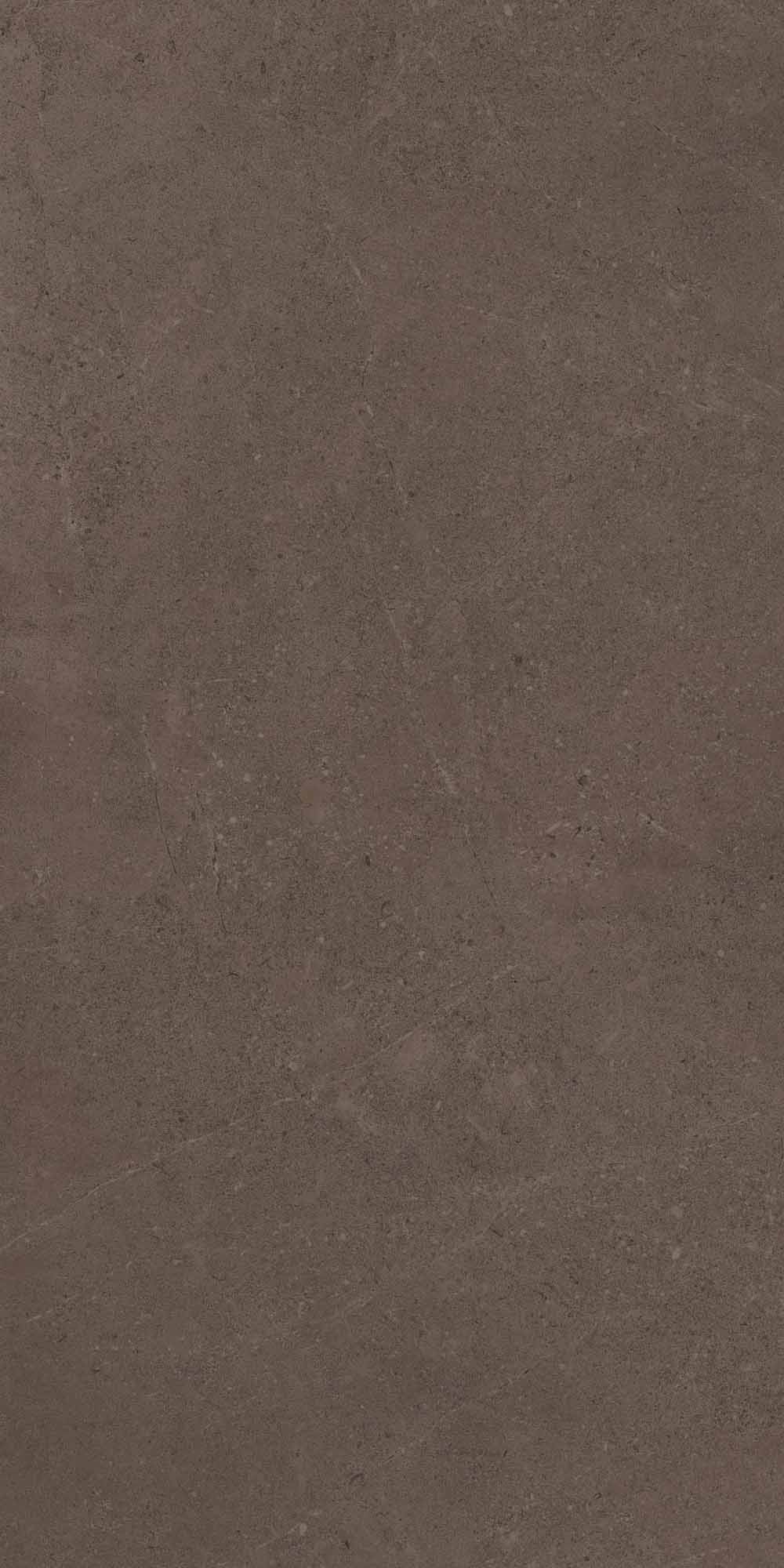 GO03/NS_R9/60x120x10R/GC На пол Gobi GO03 Brown Grey неполированный 60x120