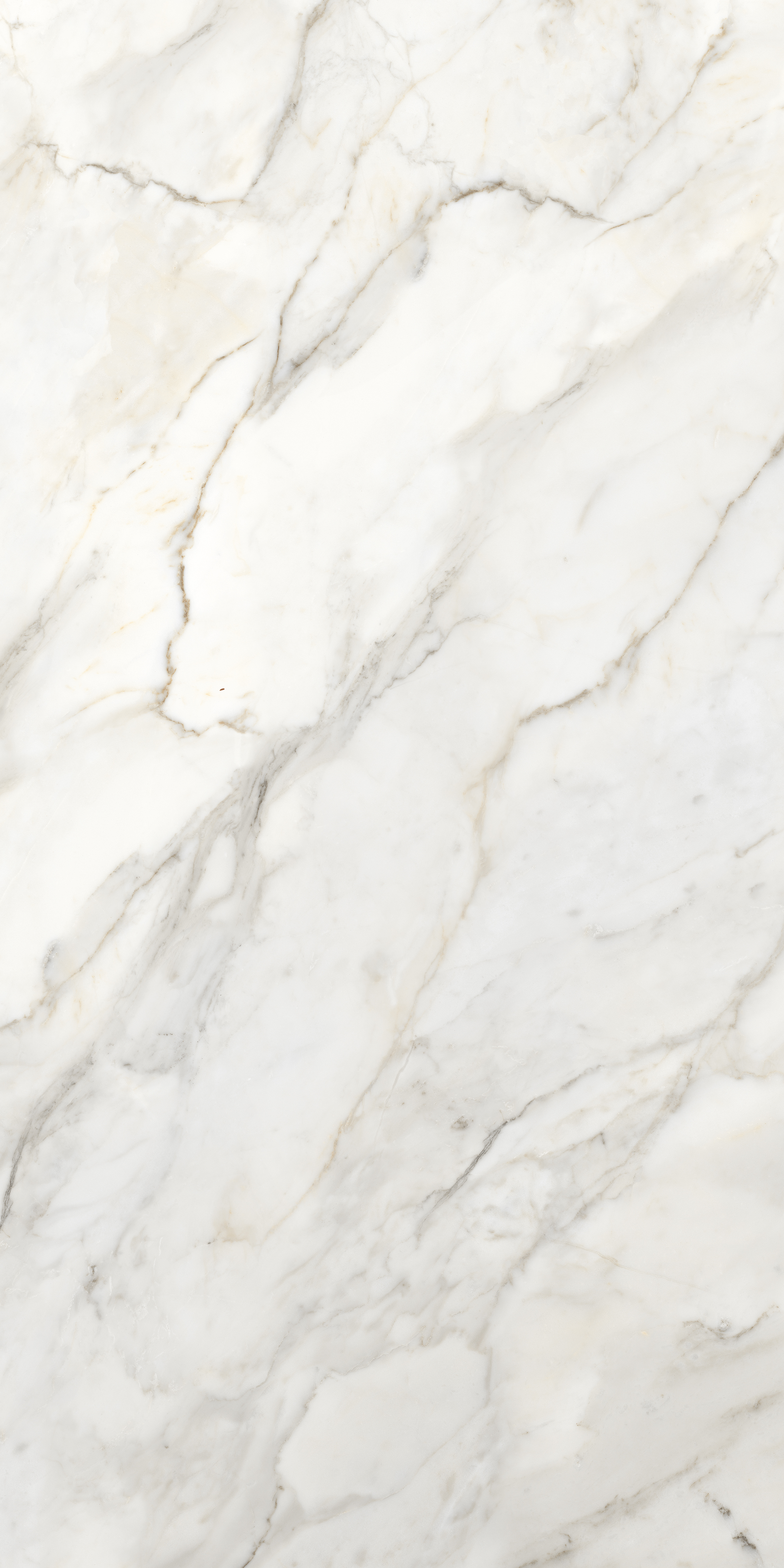 ENMAR8001GL60120  На пол Marble Amulet Glossy 60x120 - фото 2