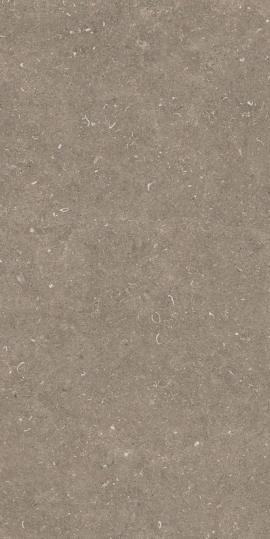 785576 На пол Rinascenza Arena Pietra Matte 6mm 60x120 - фото 8