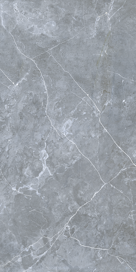 GRS02-12 На пол Petra Northen Silver 120x60 - фото 7