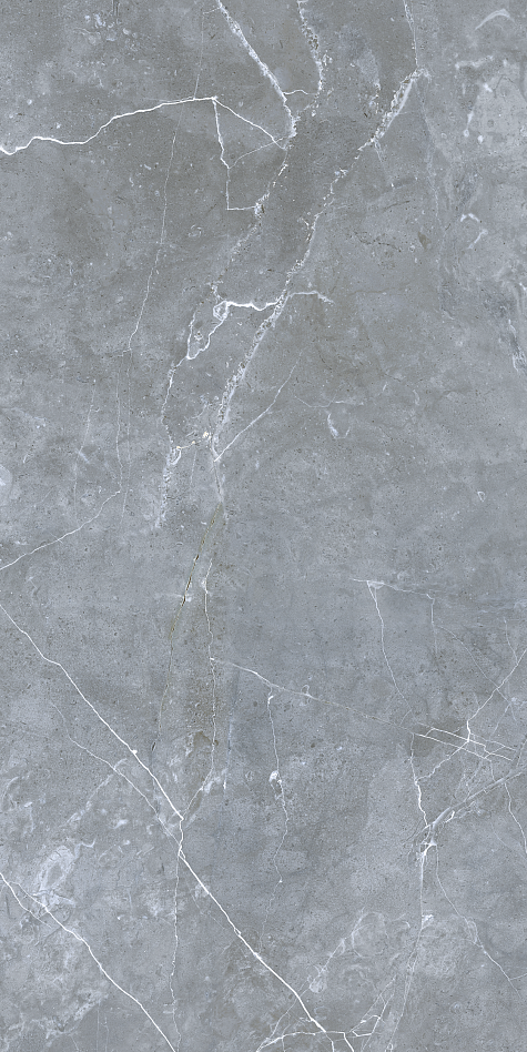 GRS02-12 На пол Petra Northen Silver 120x60 - фото 3