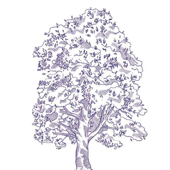 4101303 Декор Stories Eddie Matte 10x10 - фото 34