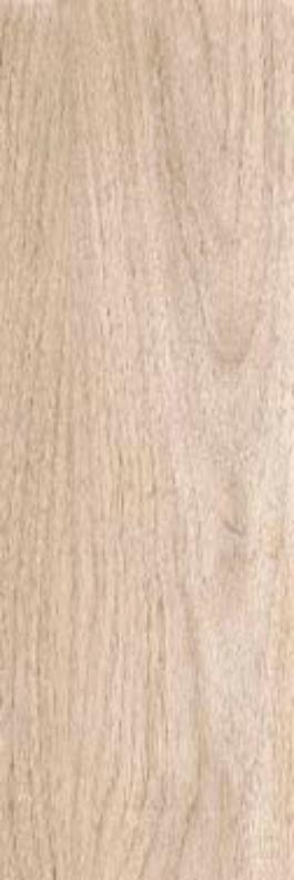 010400001413 На пол Blond beige PG 01 20х60