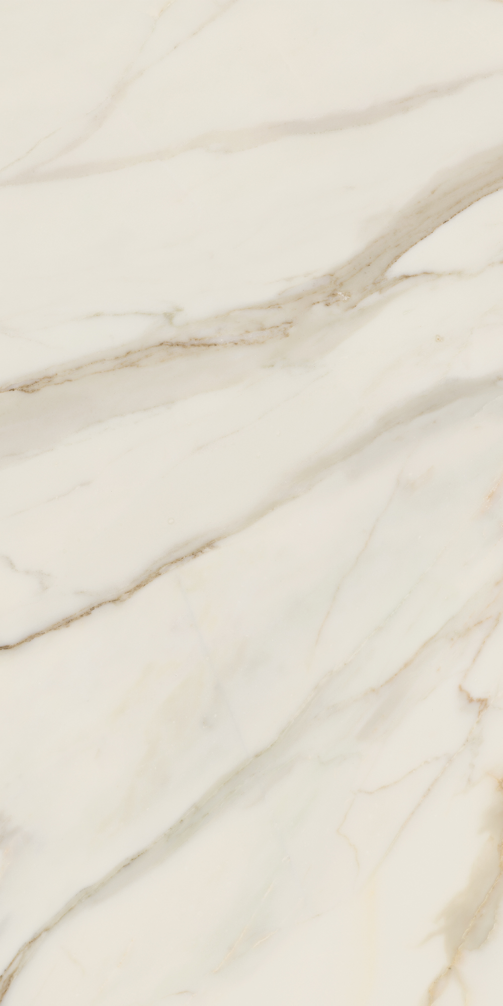 AGB0 На пол Anima Futura Golden White Rt. 120x60 - фото 6