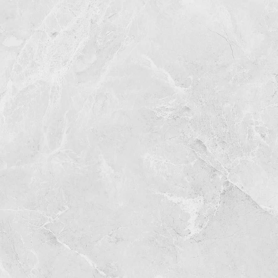 LP6060G0241R На пол Berna Silver светло-серый матовый 59.5х59.5 - фото 13