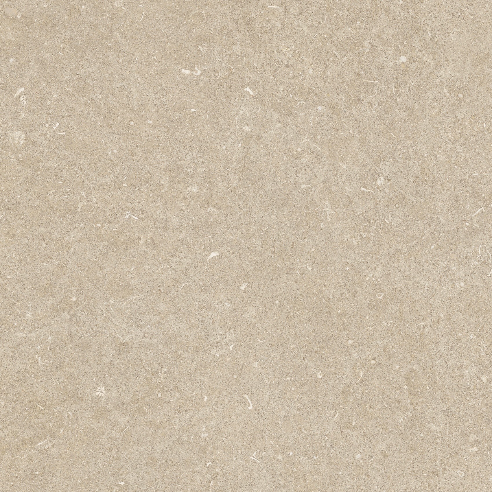 785485 На пол Rinascenza Arena Conchiglia Matte 60x60 - фото 6