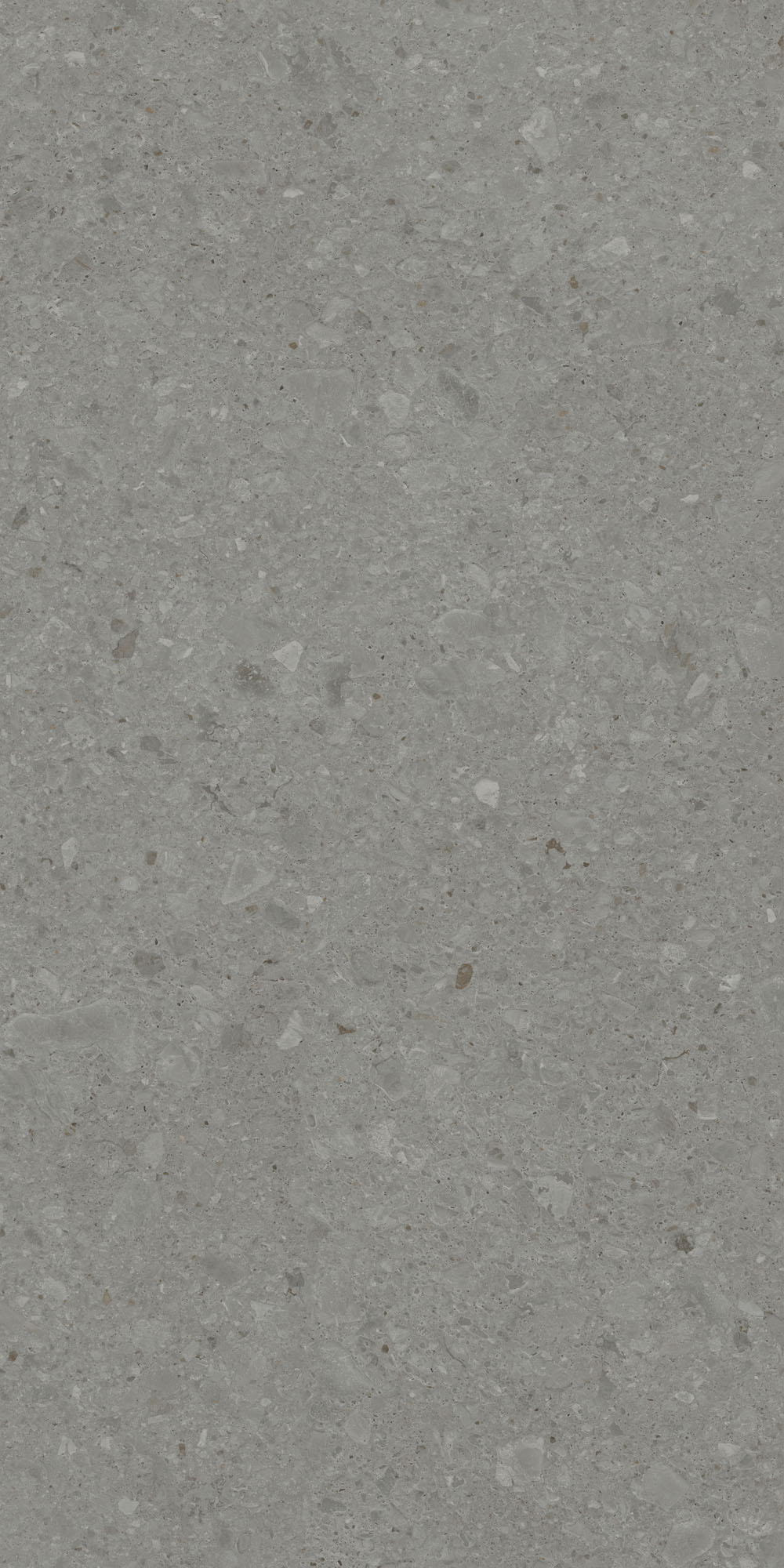 DD591500R На пол Чеппо ди Гре Серый тёмный матовый обрезной 119.5x238.5x1.1 - фото 4