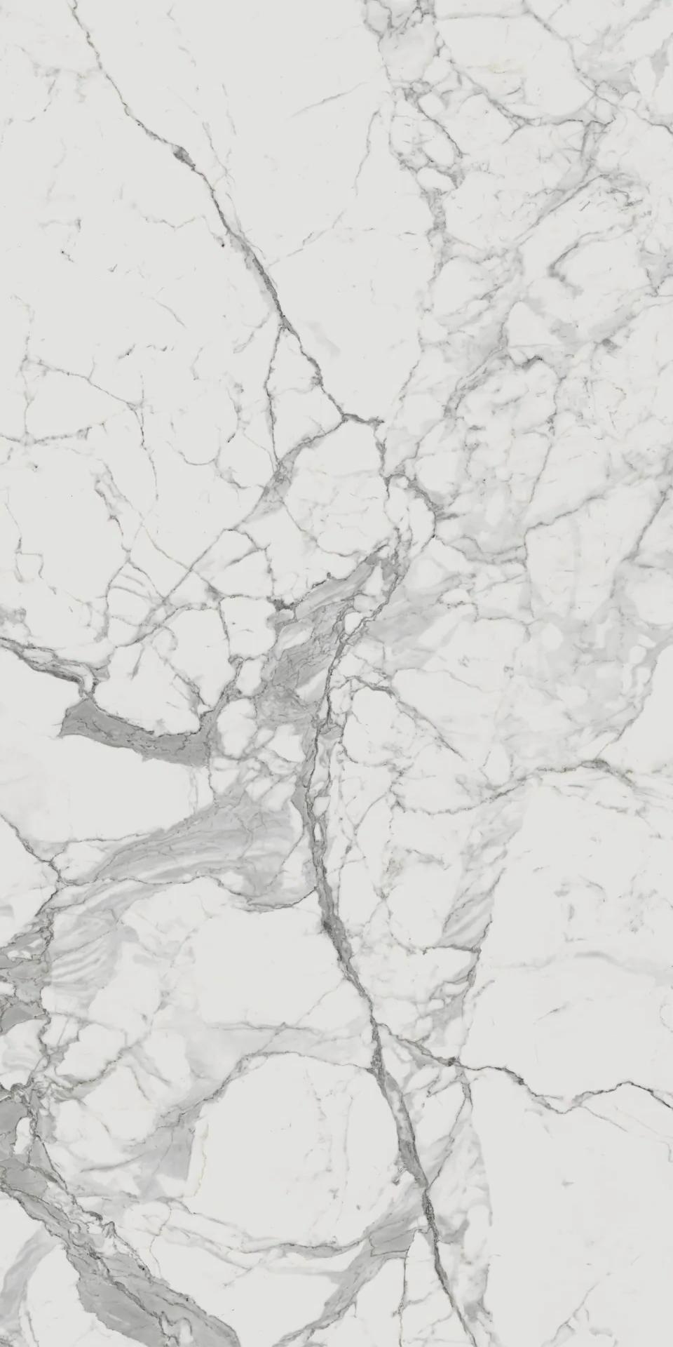 610010001682 На пол Charme Evo Floor Project Статуарио 80x160 Натуральный и Реттифицированный - фото 2
