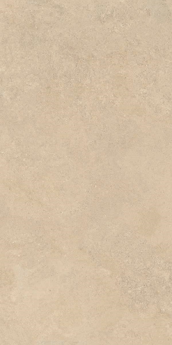 5DJ3 На пол Grace Beige RT R11 60x120 - фото 7